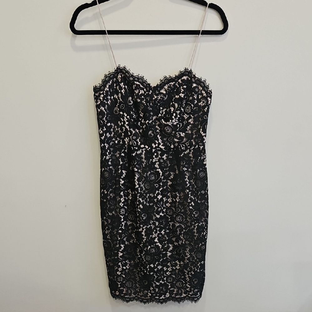 Likely | Stunning Lace Dress